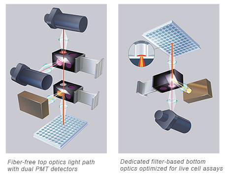 Fiber-free top optics light path with dual PMT detectors 